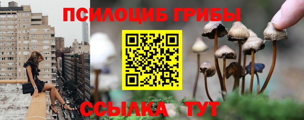 купить наркотики сайты  Галлюциногенные грибы мицелий  Вход с VPN  Солнечногорск  Галлюциногенные грибы прущие грибы 